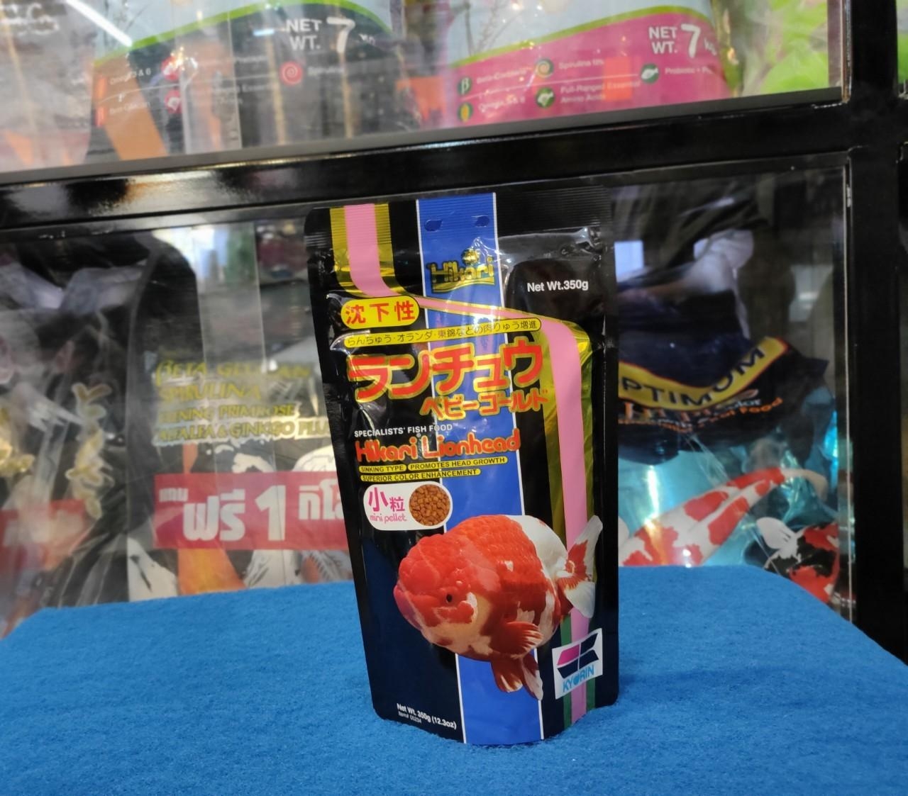 Hikari Lionhead 350g อาหารปลาทองหัวสิงห์