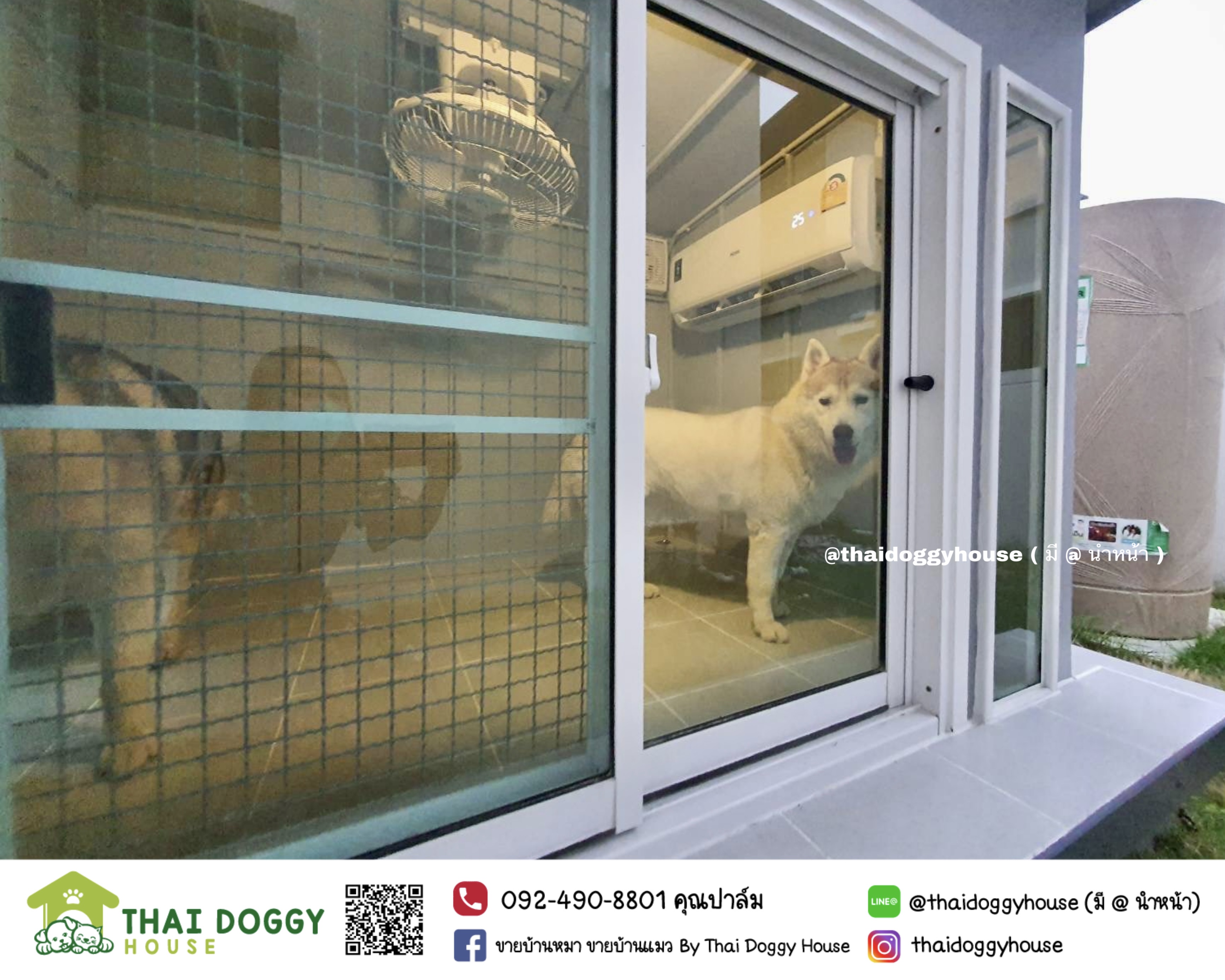 บ้านน้องหมา บ้านน้องแมว box style รองรับการติดแอร์