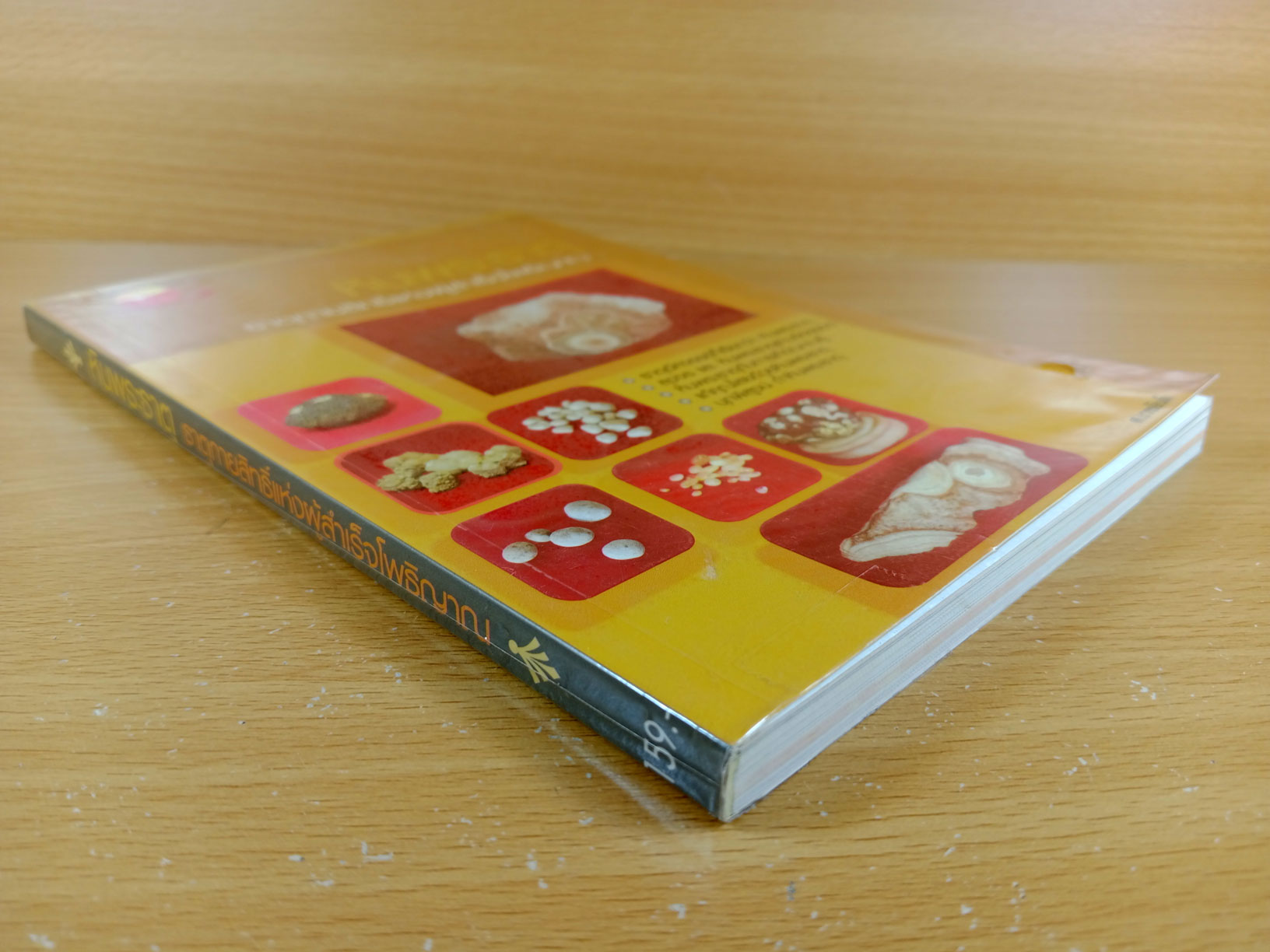 หินพระธาตุ ธาตุกายสิทธิ์แห่งผู้สำเร็จโพธิญาณ