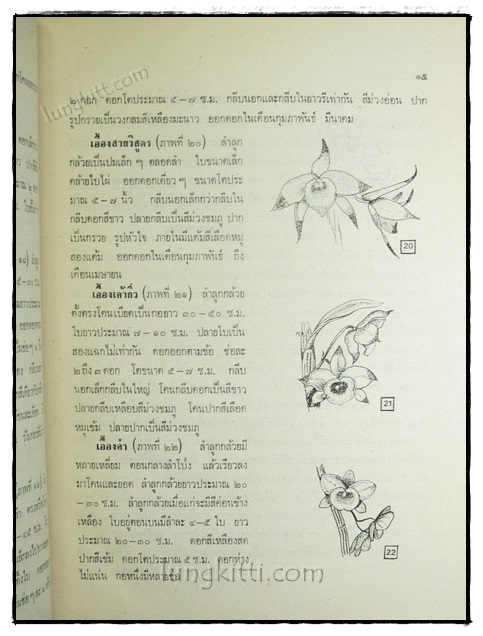 คู่มือการปลูกเลี้ยงกล้วยไม้ 022644 (1)