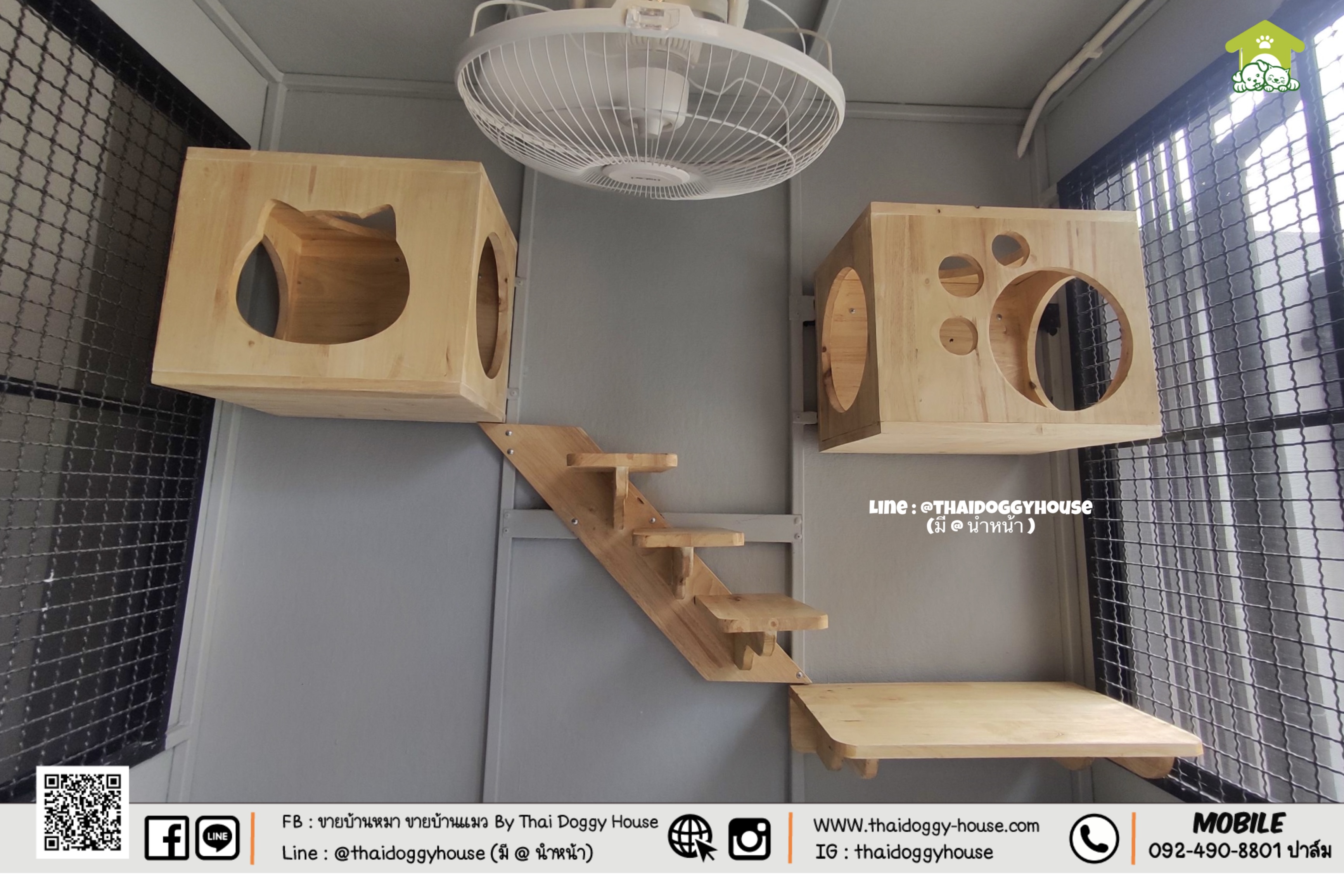 บ้านหมา บ้านแมว " 𝐁𝐎𝐗 𝐒𝐓𝐘𝐋𝐄 𝐁𝐘 𝐓𝐇𝐀𝐈 𝐃𝐎𝐆𝐆𝐘 𝐇𝐎𝐔𝐒𝐄 " &#x