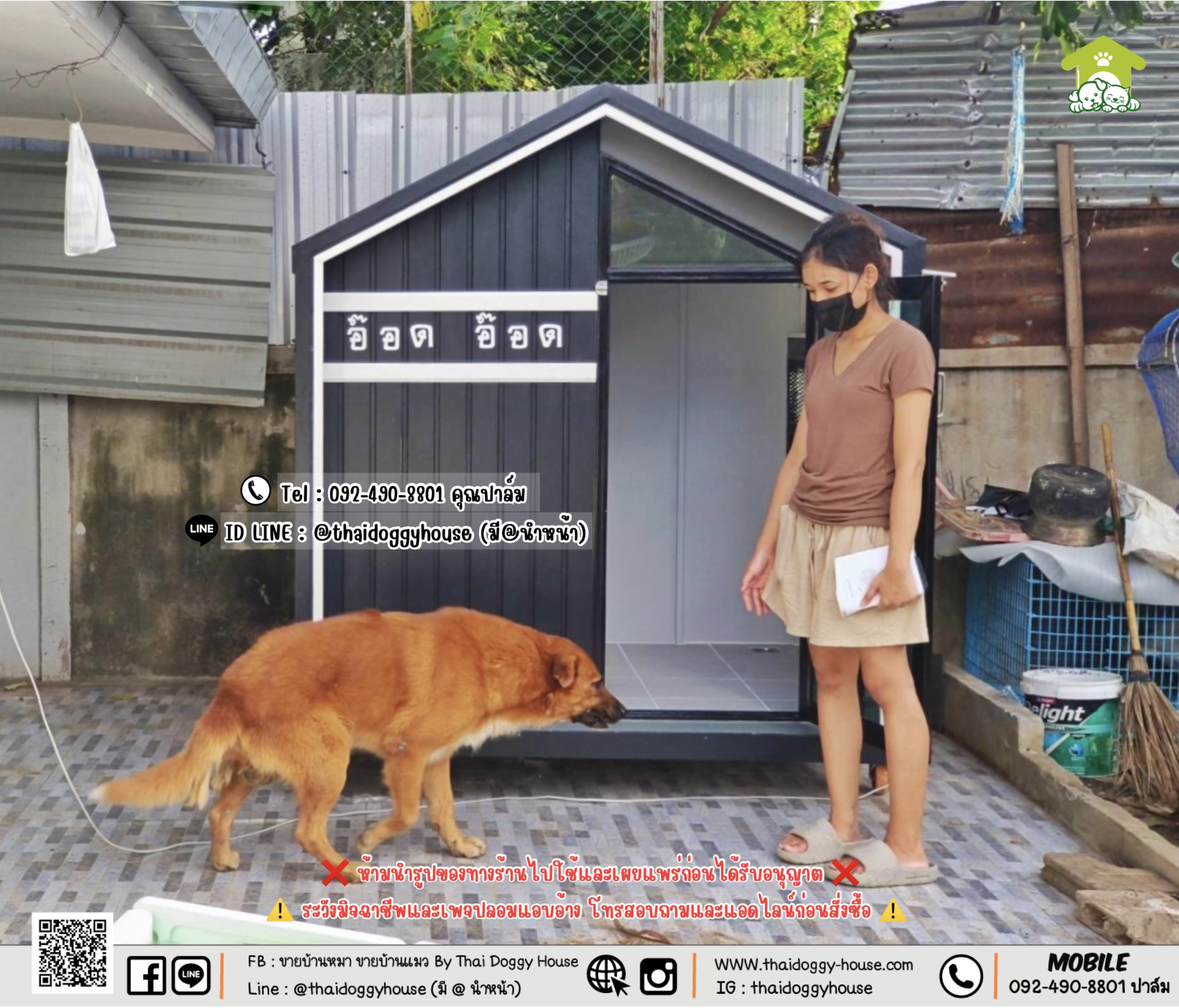 บ้านหมา บ้านแมว 𝐓𝐡𝐚𝐢 𝐝𝐨𝐠𝐠𝐲 𝐡𝐨𝐮𝐬𝗲