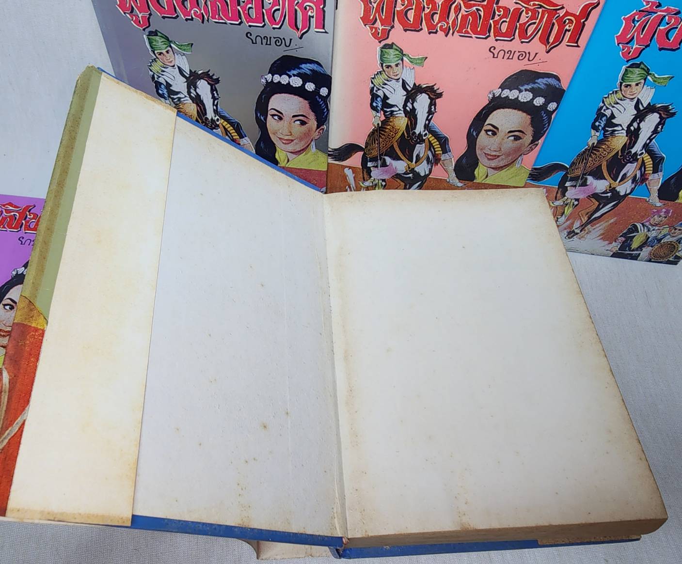 ผู้ชนะสิบทิศ (8 เล่มจบ) 027429