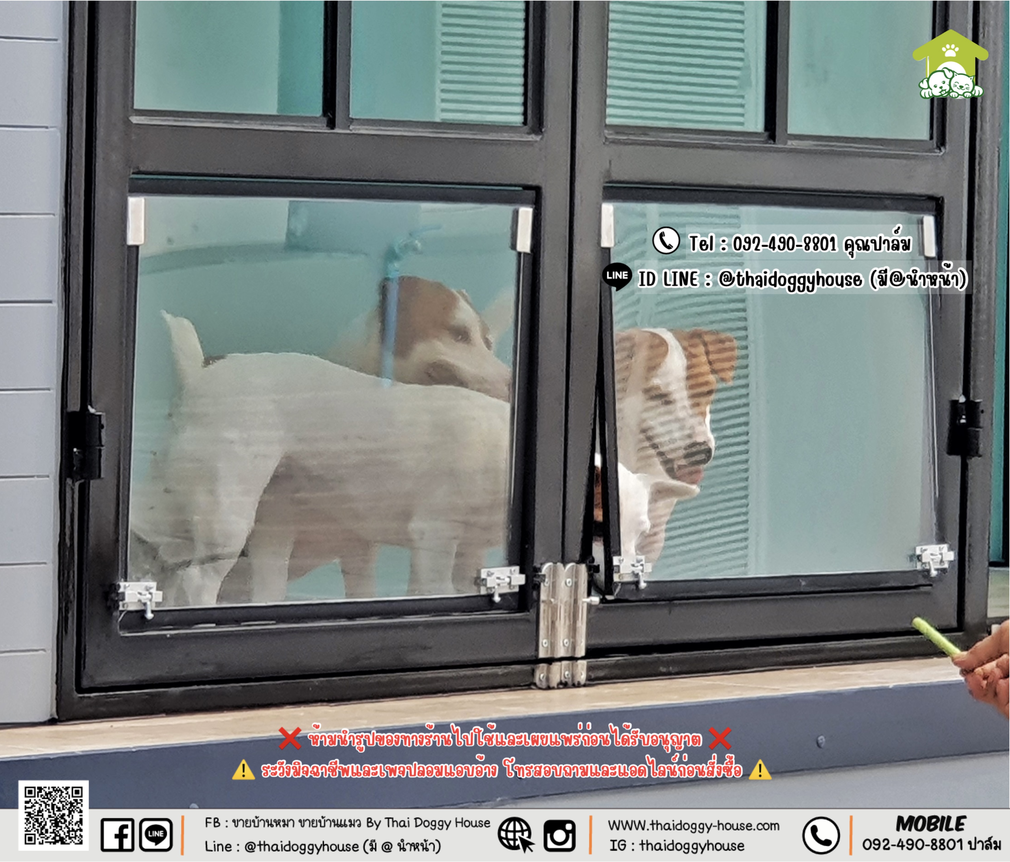 บ้านหมา บ้านแมว 𝐓𝐡𝐚𝐢 𝐝𝐨𝐠𝐠𝐲 𝐡𝐨𝐮𝐬𝐞 แบบบ้าน 𝐁𝐨𝐱 𝐒𝐭𝐲𝐥𝐞 #บ้านกระจกรองรับการติดแอร์