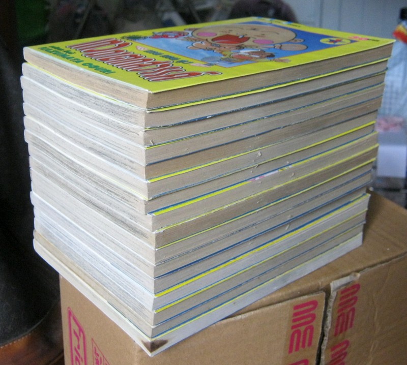 เทน เทน คุง เทวดาตกสวรรค์ 17 เล่มจบ