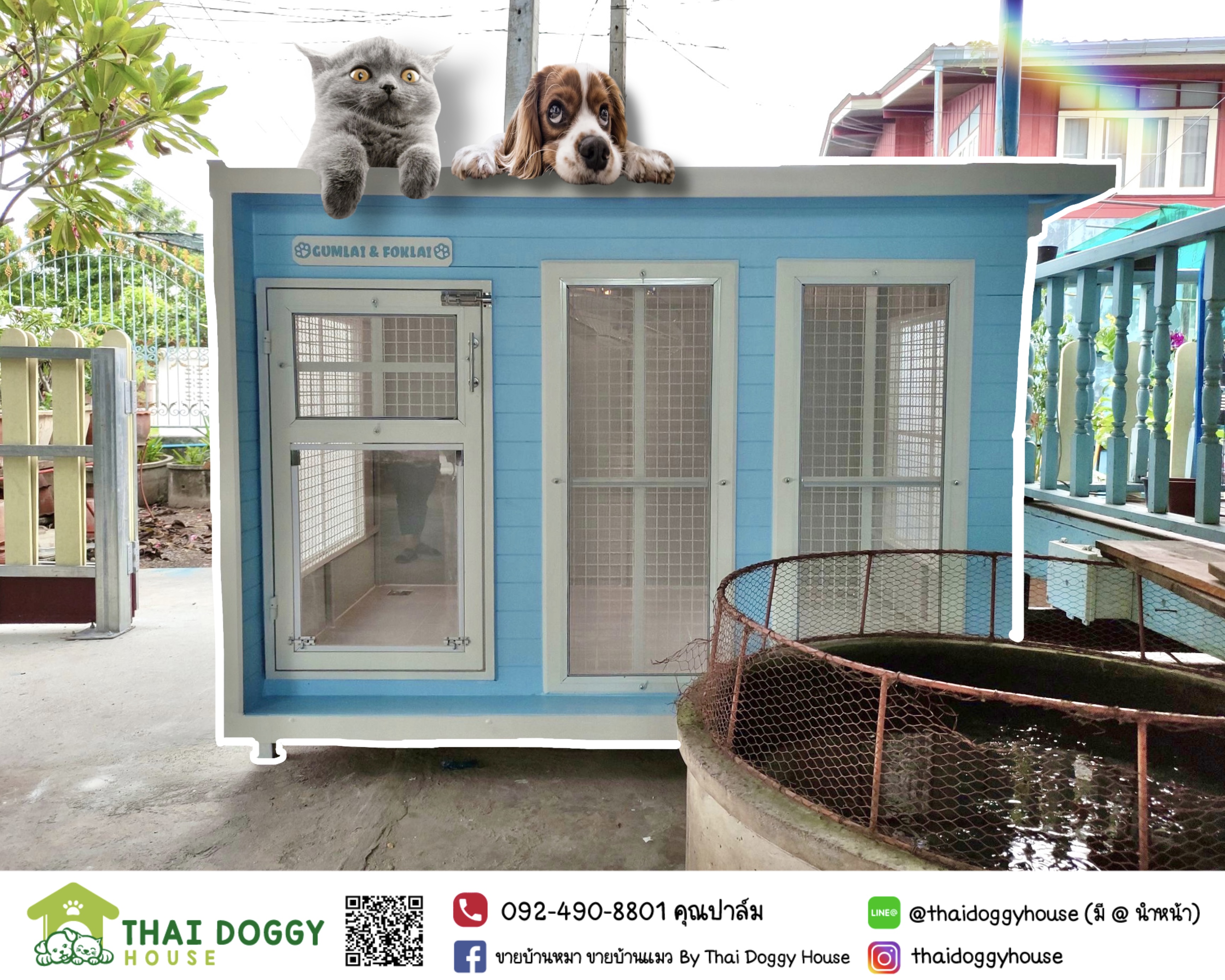 บ้านหมา บ้านแมวหลังใหญ่ โทนสีฟ้าสว่างสดใส แบบขายดีที่สุดดดดด