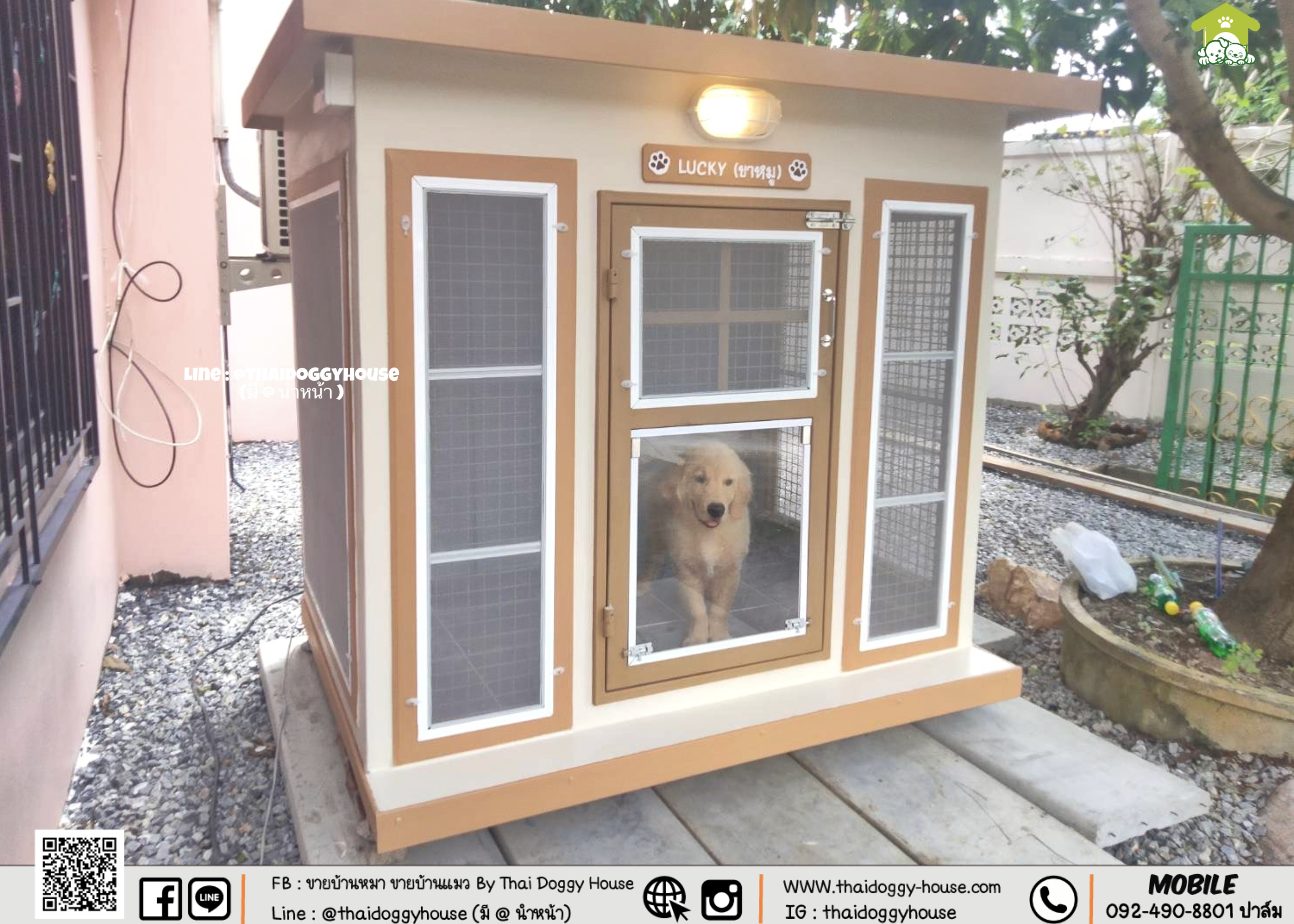 บ้านหมา บ้านแมว " 𝐁𝐎𝐗 𝐒𝐓𝐘𝐋𝐄 𝐁𝐘 𝐓𝐇𝐀𝐈 𝐃𝐎𝐆𝐆𝐘 𝐇𝐎𝐔𝐒𝐄 " &#x