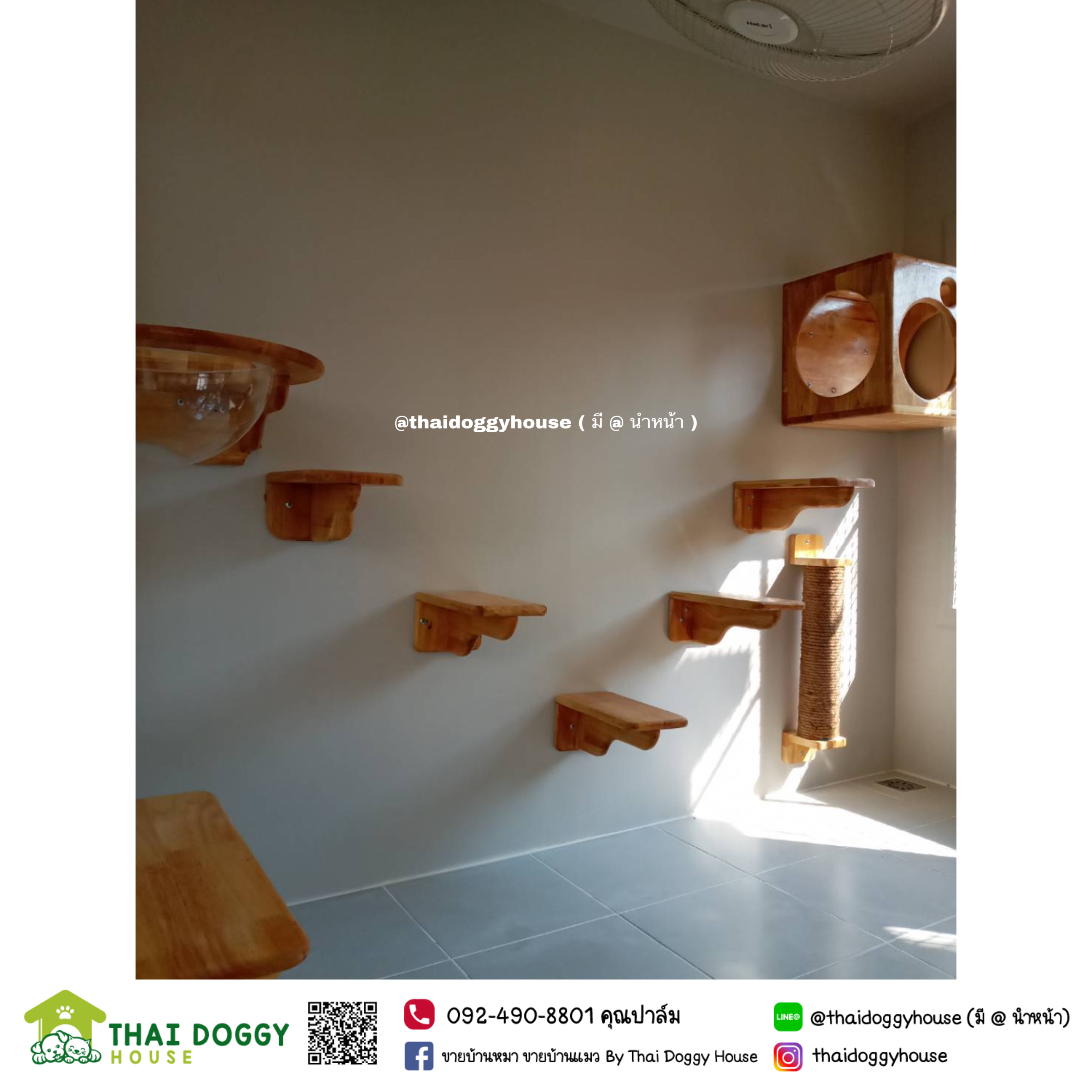 บ้านแมว ดีไซน์ทันสมัย โปร่งสบาย