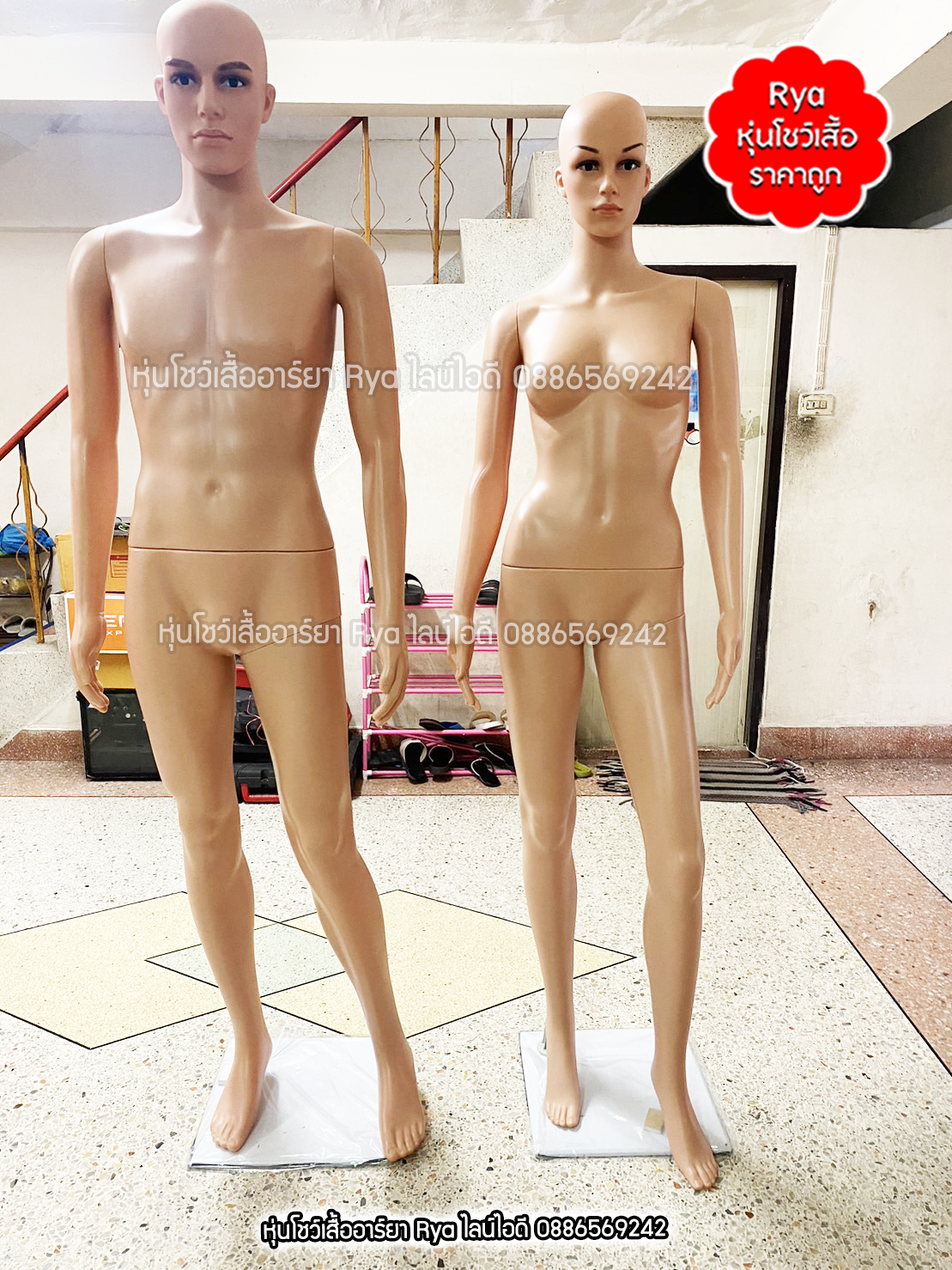 หุ่นเต็มตัวผู้หญิงพร้อมฐานวาง แต่งหน้าสวย สีเนื้อ หุ่นนอกพลาสติกสีเนื้อเกรดสวย ถอดประกอบแขนขาและฐานวางได้ค่ะ (ราคาไม่รวมวิก)