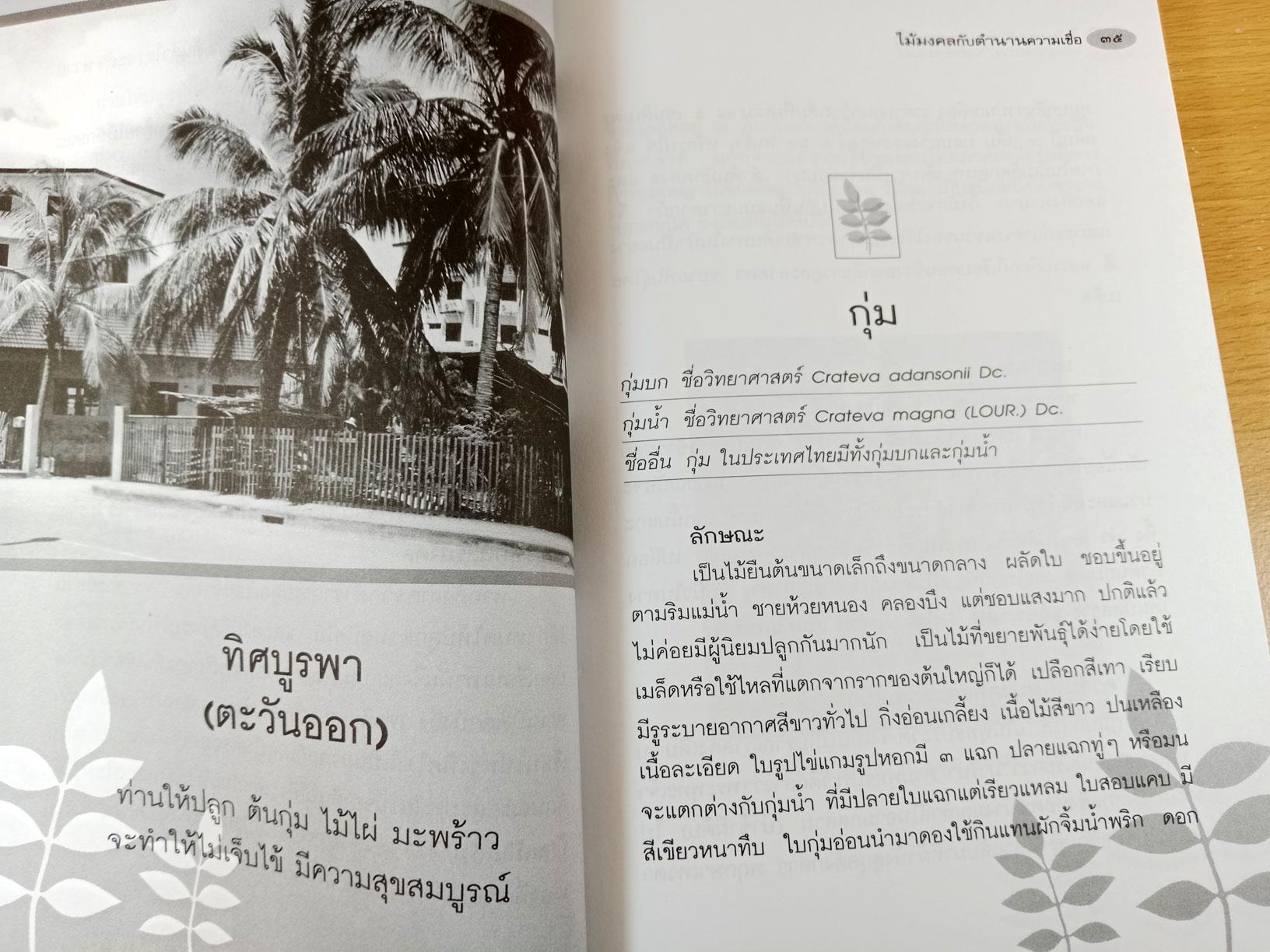 ไม้มงคล กับตำนานความเชื่อ