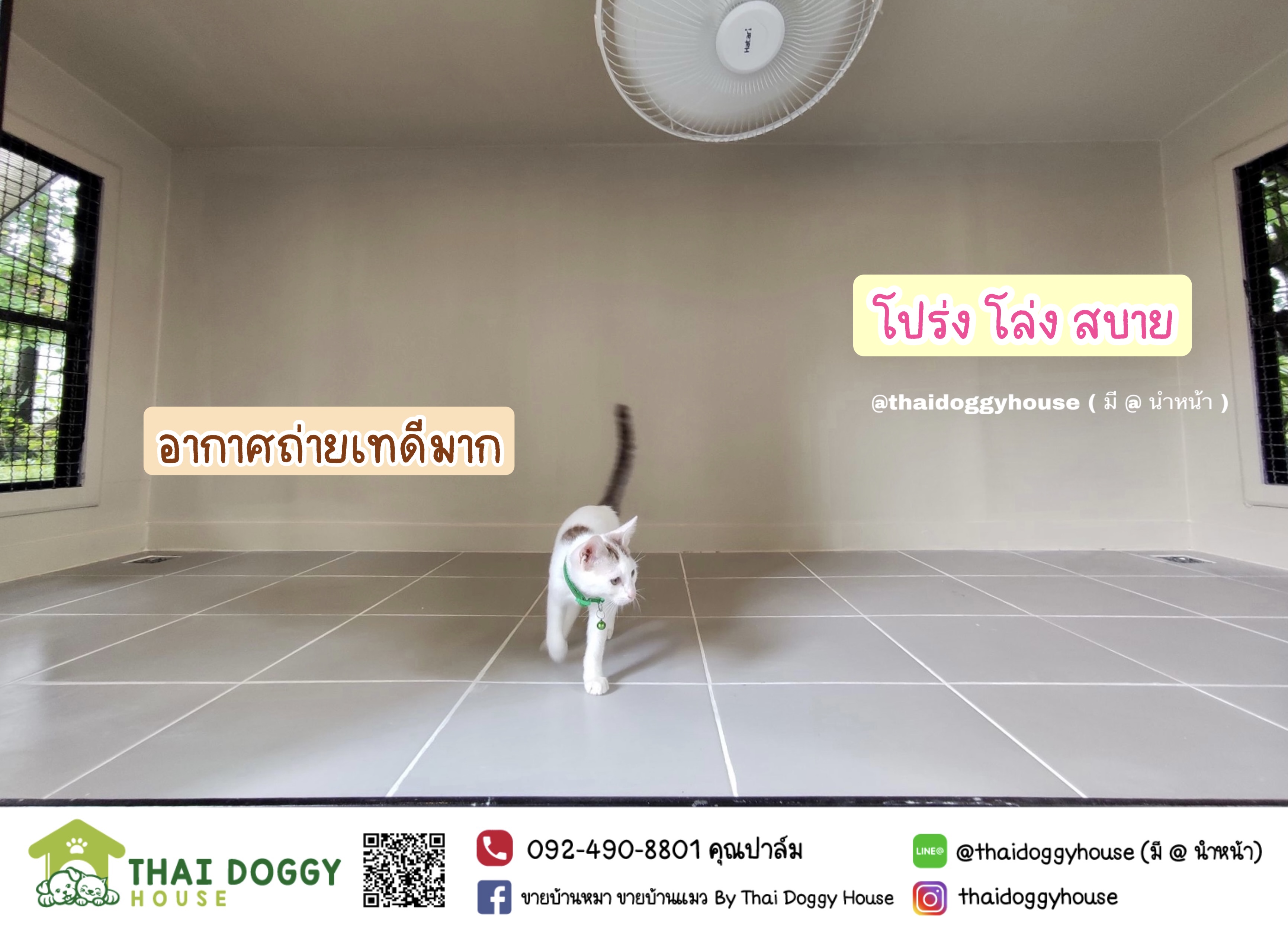 บ้านหมา บ้านแมว ราคาถูกหลังใหญ่ อากาศถ่ายเทได้ดี แบบขายดีที่สุด มีบานสวิงให้น้องหมา แมวเข้า-ออกเอง