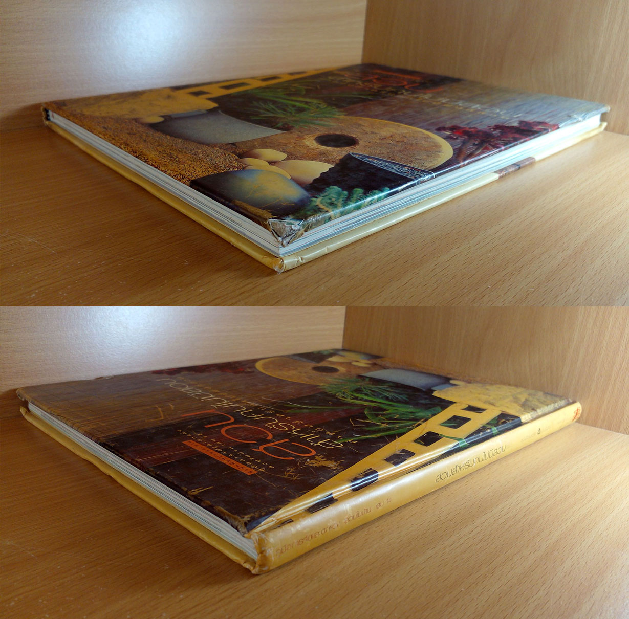 สวนสำหรับคนไม่มีสวน คำตอบสำหรับคนไม่มีพื้นที่สวน