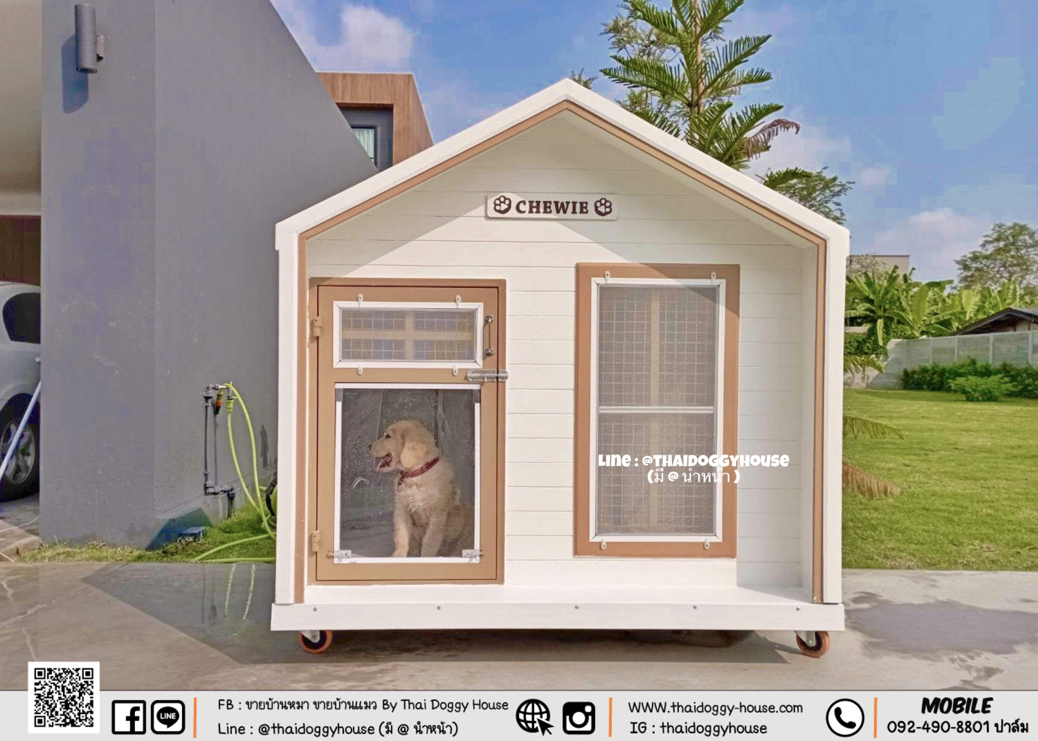 บ้านหมา บ้านแมว ตะแกรงเหล็ก มุ้งลวด