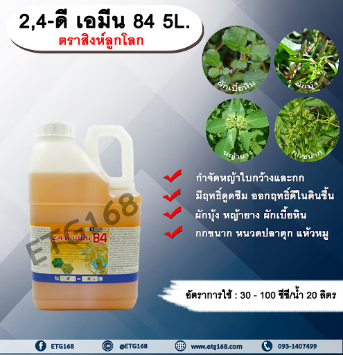 2,4-ดี เอมีน 84 5L. ตราสิงห์ลูกโลก 24ดี ไดเมทิลแอมโมเนียม ทูโฟดี สารกำจัดหญ้า กำจัดวัชพืช แบบดูดซึม ใบกว้าง และกก กำจัดหญ้ายาง ผักบุ้ง ผักโขม ผักเบี้ยหิน เครือ สะอึก กกขนาก แห้วหมู หนวดปลาดุก