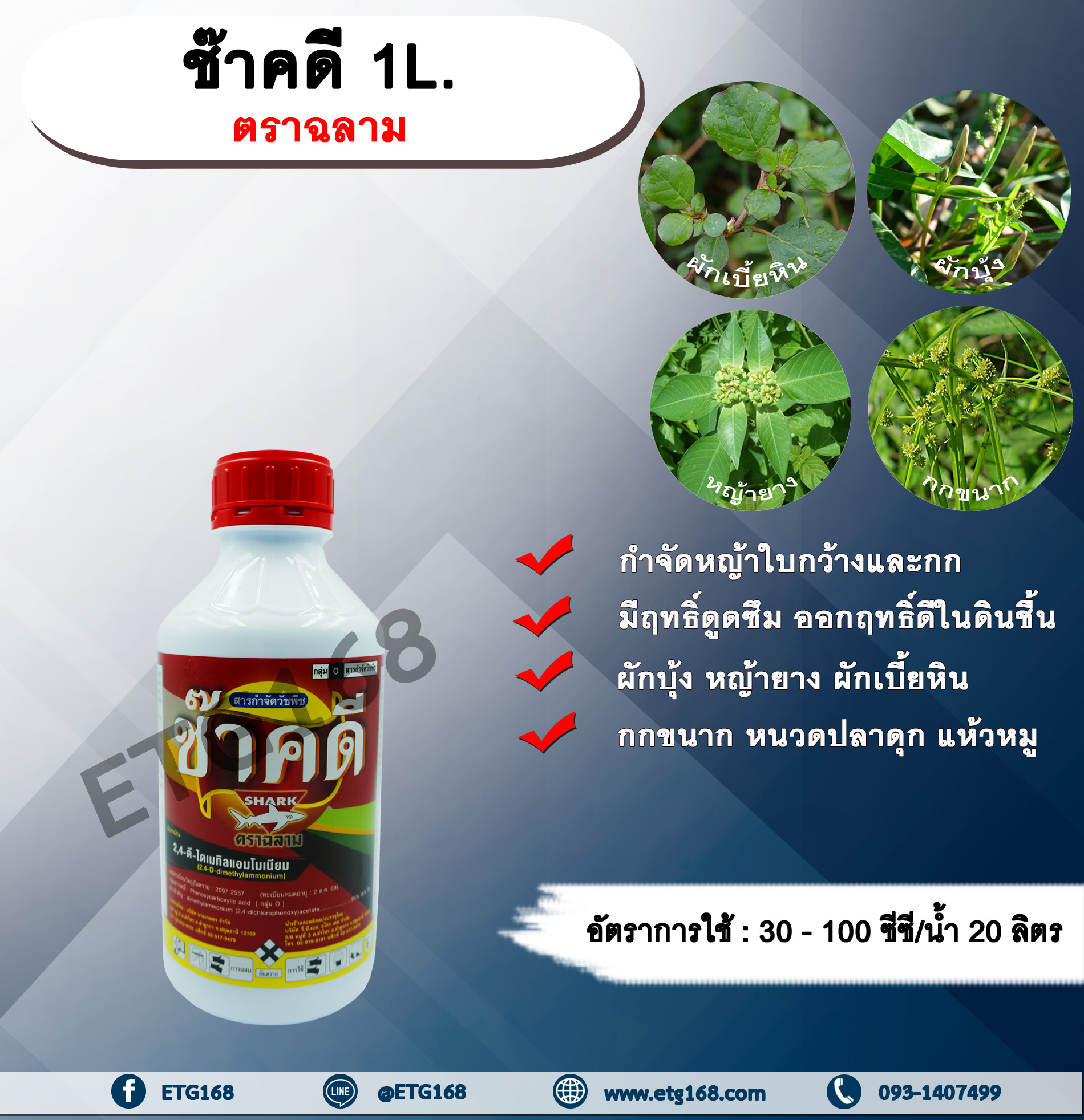 ช๊าคดี 1L. ตราฉลาม 24ดี ไดเมทิลแอมโมเนียม ทูโฟดี สารกำจัดหญ้า กำจัดวัชพืช แบบดูดซึม ใบกว้าง และกก กำจัดหญ้ายาง ผักบุ้ง ผักโขม ผักเบี้ยหิน เครือ สะอึก กกขนาก แห้วหมู หนวดปลาดุก