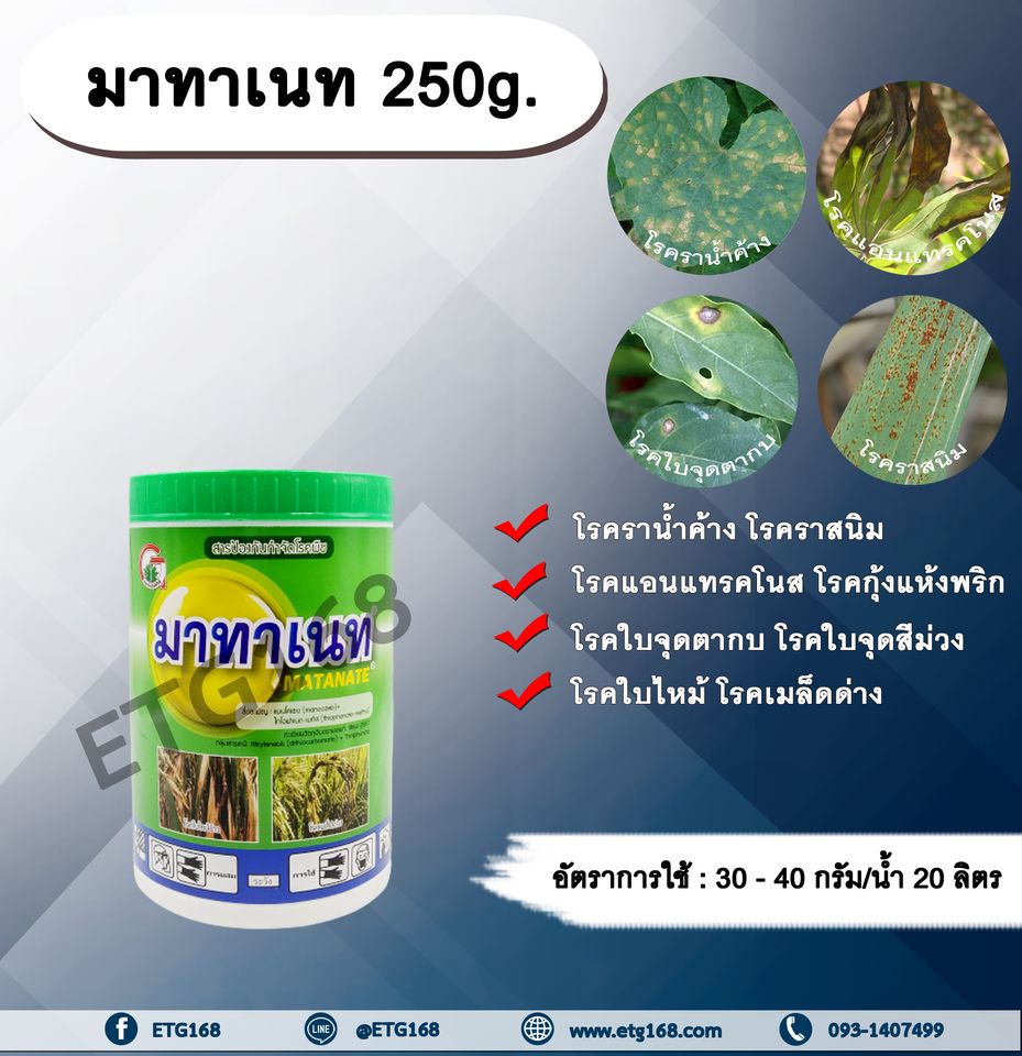 มาทาเนท 250g. แมนโคเซบ+ไทโอฟาเนทเมทิล สารจัดโรคพืช กำจัดเชื้อรา โรคราน้ำค้าง