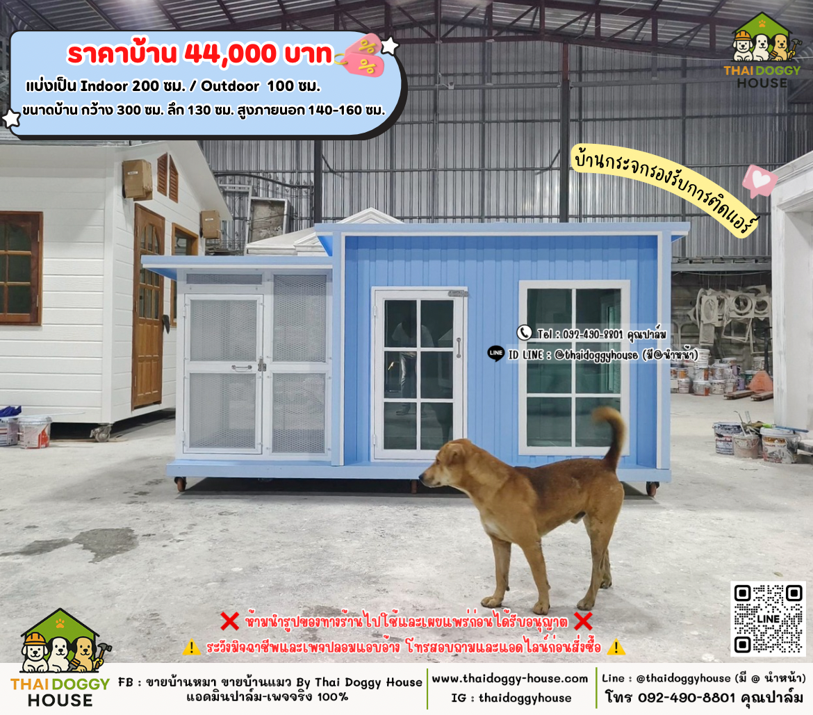 บ้านหมา บ้านแมว 𝐓𝐡𝐚𝐢 𝐝𝐨𝐠𝐠𝐲 𝐡𝐨𝐮𝐬𝗲