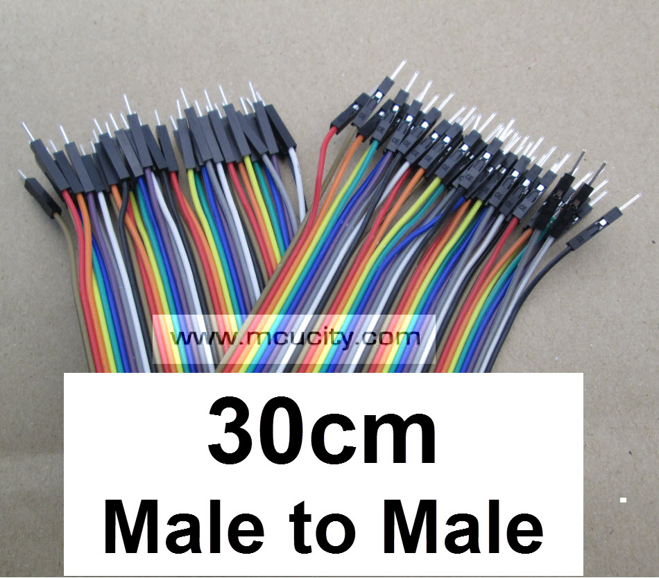สายแพ (30cm) 40 pin to 40 pin (Male-Male) 2.54mm
