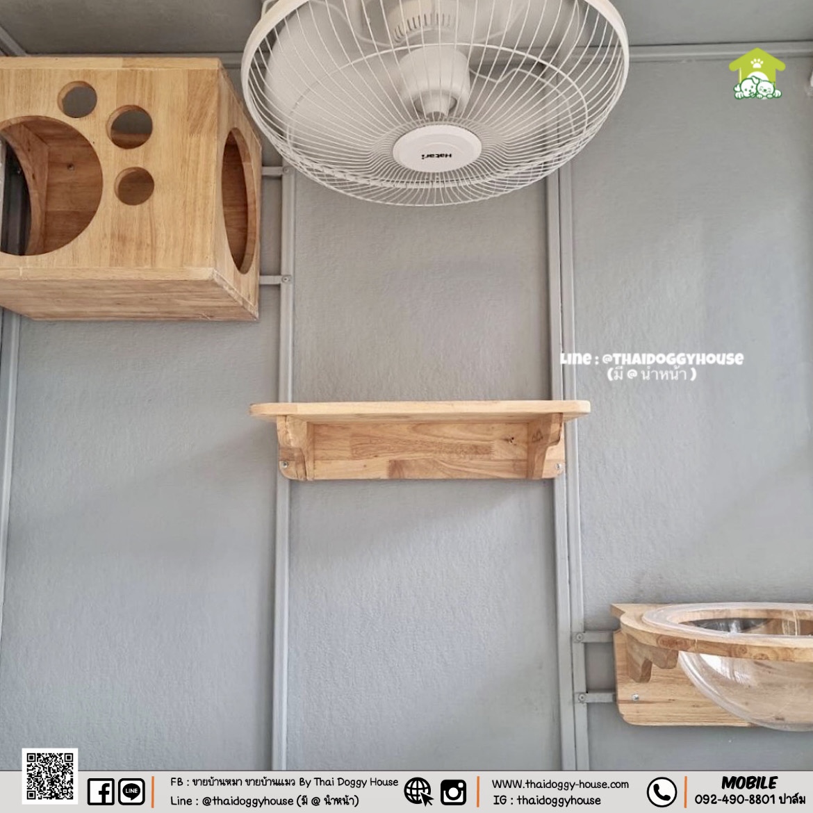 บ้านหมา บ้านแมว " 𝐁𝐎𝐗 𝐒𝐓𝐘𝐋𝐄 𝐁𝐘 𝐓𝐇𝐀𝐈 𝐃𝐎𝐆𝐆𝐘 𝐇𝐎𝐔𝐒𝐄 " &#x