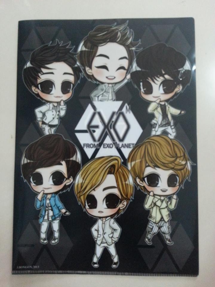 แฟ้มสอดพลาสติก PVC พิมพ์ลายได้