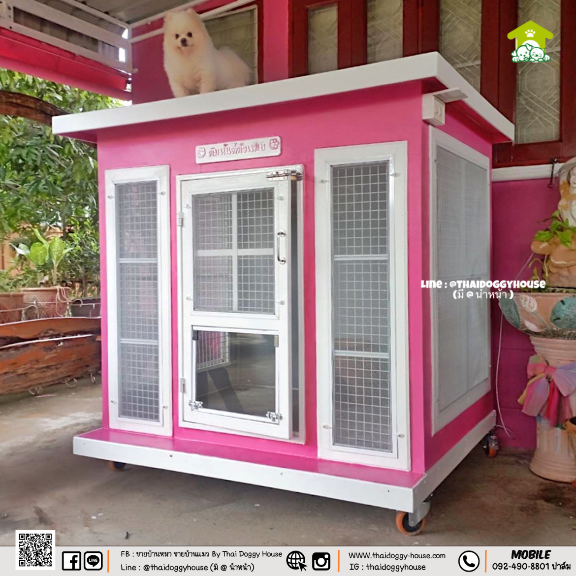 🏡 บ้านหมา บ้านแมว " 𝐁𝐎𝐗 𝐒𝐓𝐘𝐋𝐄 𝐁𝐘 𝐓𝐇𝐀𝐈 𝐃𝐎𝐆𝐆𝐘 𝐇𝐎𝐔𝐒𝐄