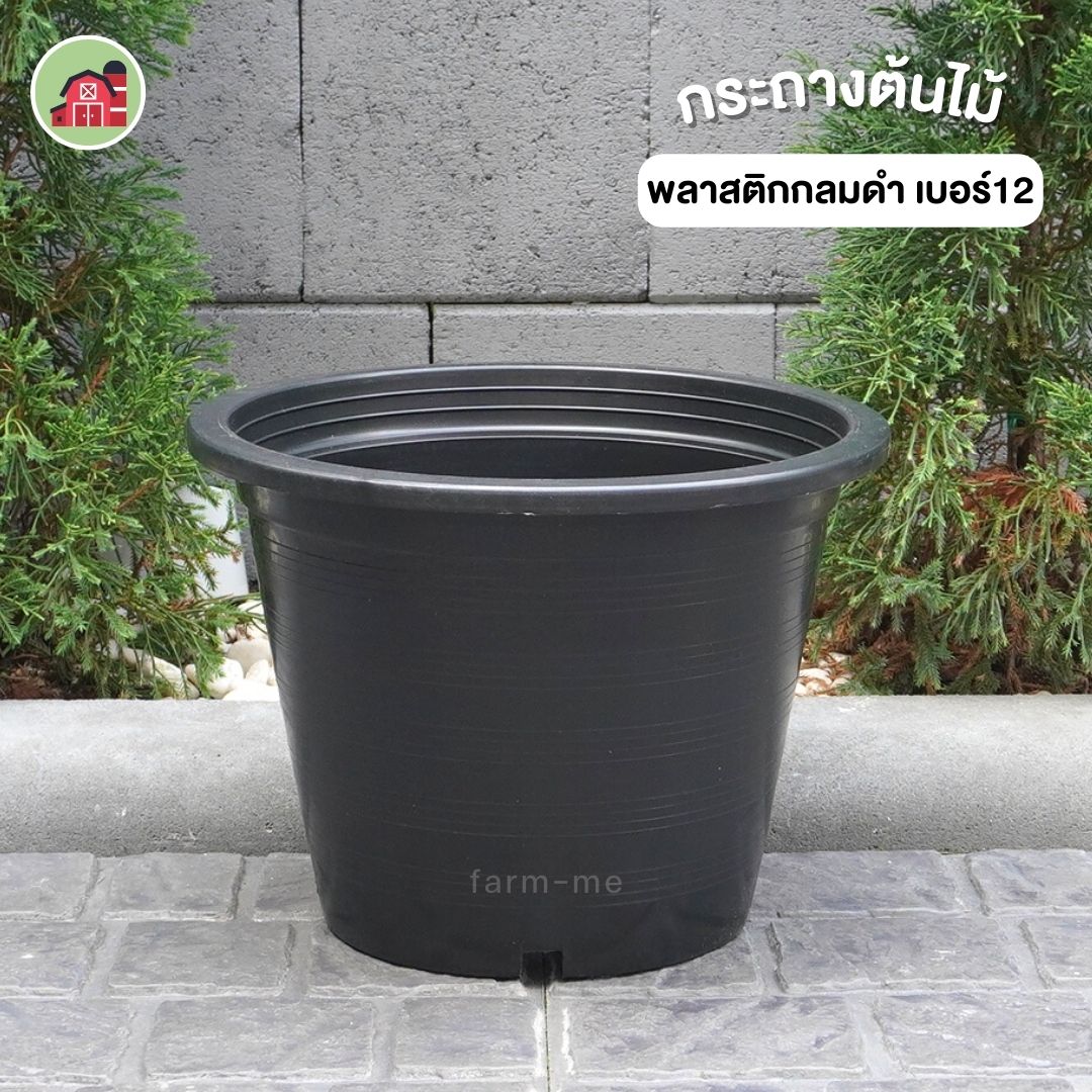 กระถางต้นไม้ กลมดำ เบอร์12