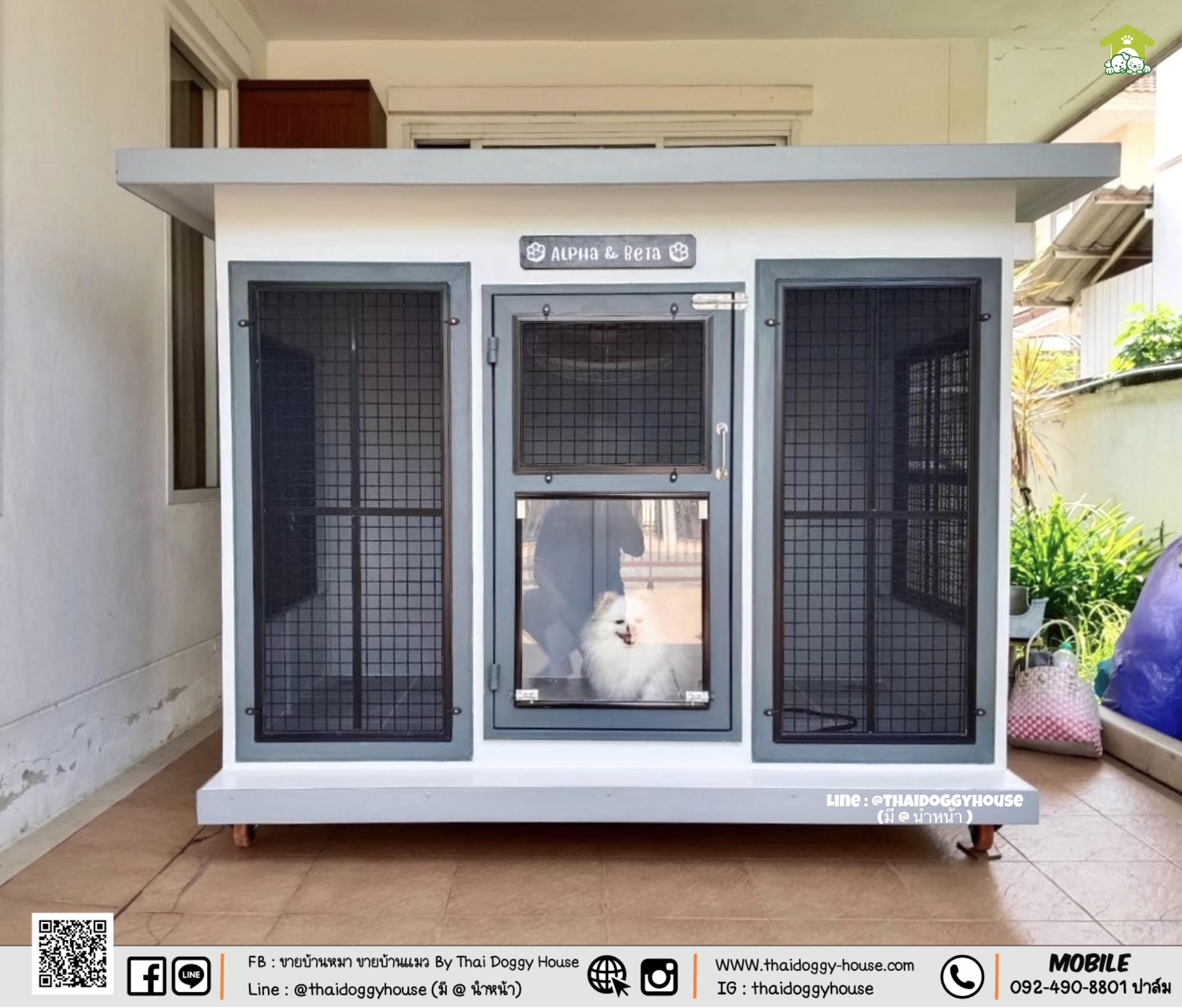 บ้านหมา บ้านแมว " 𝐁𝐎𝐗 𝐒𝐓𝐘𝐋𝐄 𝐁𝐘 𝐓𝐇𝐀𝐈 𝐃𝐎𝐆𝐆𝐘 𝐇𝐎𝐔𝐒𝐄 "