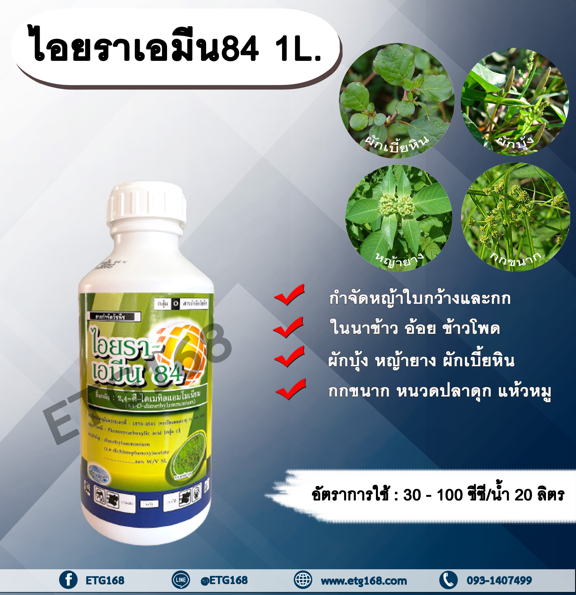 ไอยราเอมีน84 1L. 24ดี ไดเมทิลแอมโมเนียม ทูโฟดี 2-4 ดี 84% สารกำจัดหญ้า กำจัดวัชพืช แบบดูดซึม ใบกว้าง และกก กำจัดหญ้ายาง