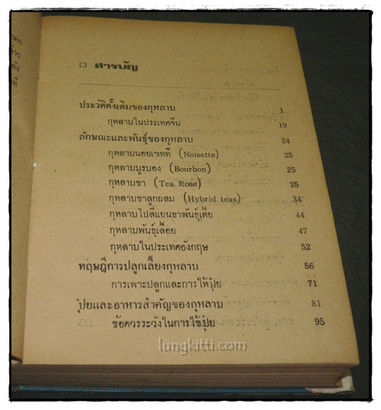 วิธีปลูกและผสมพันธุ์กุหลาบ 023959
