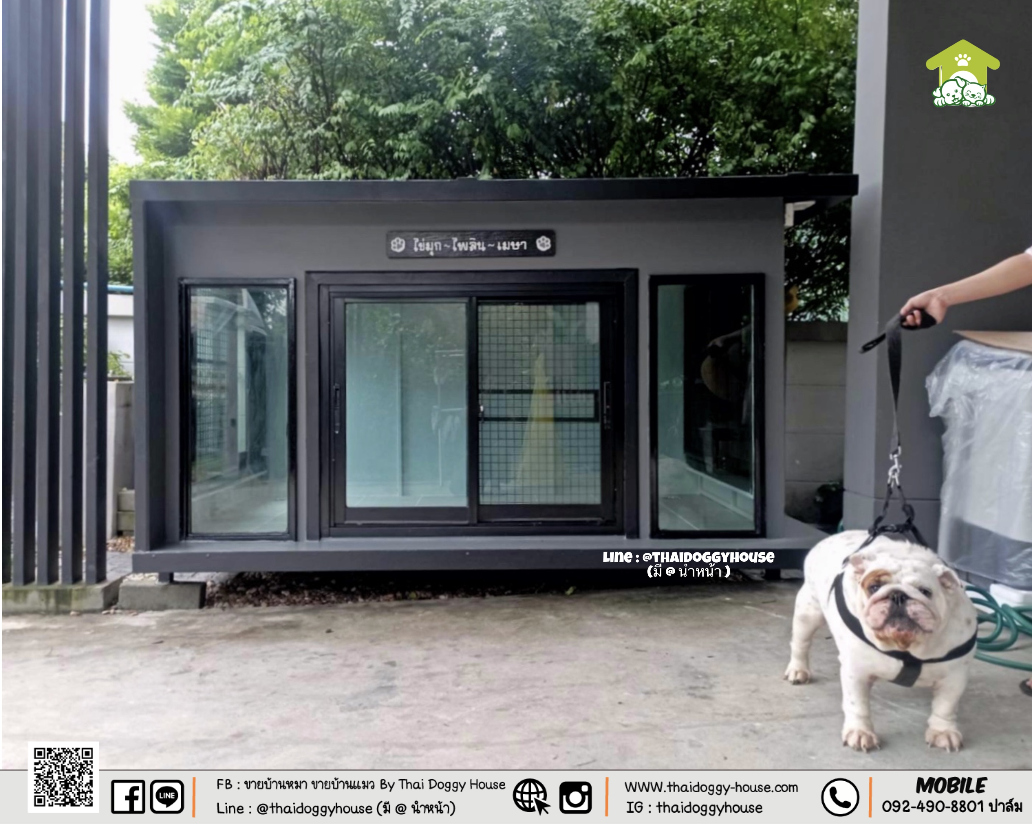 บ้านหมา บ้านแมว " 𝐁𝐎𝐗 𝐒𝐓𝐘𝐋𝐄 𝐁𝐘 𝐓𝐇𝐀𝐈 𝐃𝐎𝐆𝐆𝐘 𝐇𝐎𝐔𝐒𝐄 " &#x