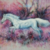 ภาพม้า สีอะคริลิค Horse Acrylic color