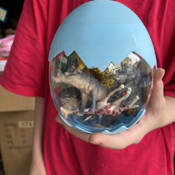 559-148 ของเล่นเด้กโมเดลสัตว์ป่าเล่นมือพร้อมกระปุกไข่ ปลีกฟองละ (ของหมด)