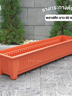 กระถางต้นไม้ รางพลาสติกสี ผิวด้าน ยาว 80 ซม.