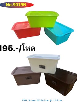 กล่อง 9019 (ราคาต่อโหล)