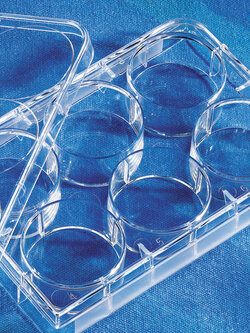 Plate 6 Well, Clear TC-treated Multiple Well Plates, Sterile 50's/Pk -Corning USA.