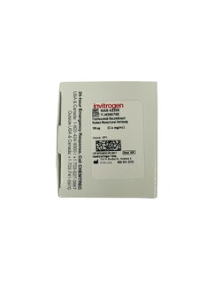 Trastuzumab Recombinant Human Monoclonal Antibody, 100 ug -Thermoscientific USA