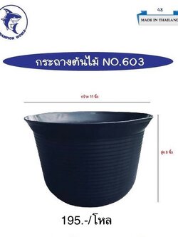 กระถาง 603 (ราคาต่อโหล)