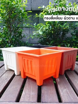 กระถางต้นไม้ สี่เหลี่ยม เบอร์ 6