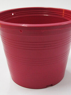 กระถางพลาสติกสี 12 นิ้ว