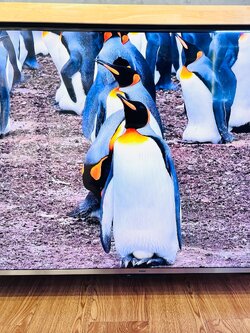 🎬 HAIER (4K, Google TV) H55K7UG 🎬 ระดับ4K จอเบิ้มๆ รองรับ Wifi 🎬