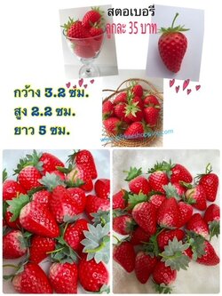 สตอเบอรี่ปลอม (วัสดุผลิตจากพลาสติค)