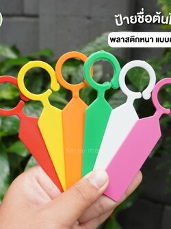 ป้ายชื่อต้นไม้ พลาสติกหนา แบบคล้อง แพ็ค 50 ชิ้น