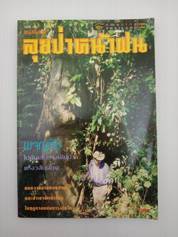 ลุยป่าหน้าฝน