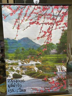 มู่ลีผ้าวิว (ราคาต่อโหล)