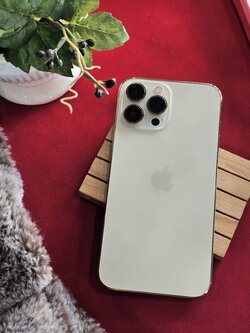 🐯🍙 ช้าอดนะคะ ‼️ 🥥 iPhone 13 Pro Max 128GB Gold 🥥 สภาพดี ราคาคุ้ม 🍙🐯