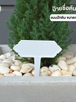 ป้ายชื่อต้นไม้ แบบปัก ขนาดกลาง