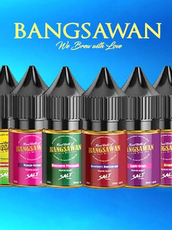 บังสวันซอลนิค