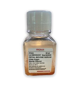 Fetal Bovine Serum, 50 ml -sigma aldrich