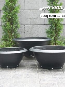 กระถางชวนชม (มีรู)