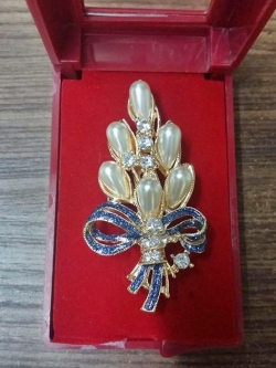 เข็มกลัดติดเสื้อ พร้อมกล่องใส่